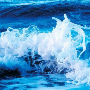 Nockemann Imagemotiv