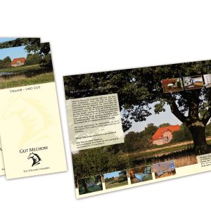 Mechow Pferdepension