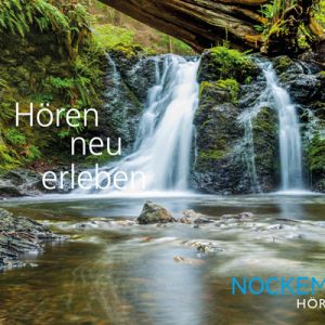 Nockemann Imageposter