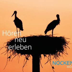 Nockemann Imageposter