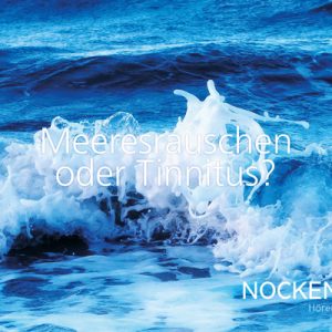 Nockemann Filialposter