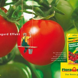 Der Floragard Effekt