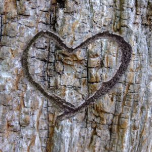 Kann man Marken lieben?