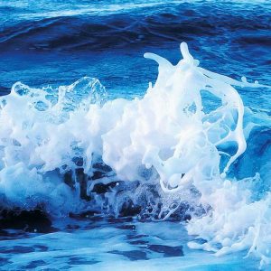 Nockemann Imagemotiv