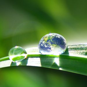 PrestoHumus Markenvisual