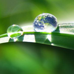 PrestoHumus Markenvisual