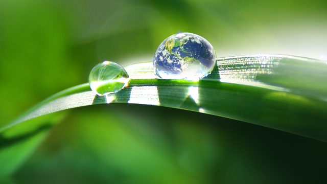 PrestoHumus Markenvisual